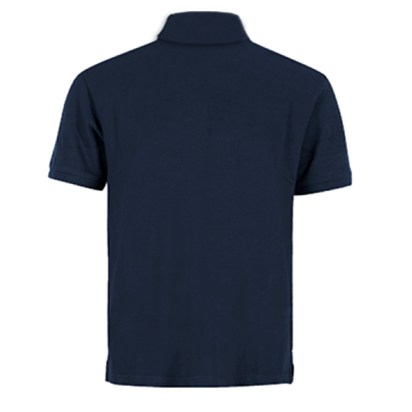 POLERA PIQUE HOMBRE 80/20 MC - Imagen 2